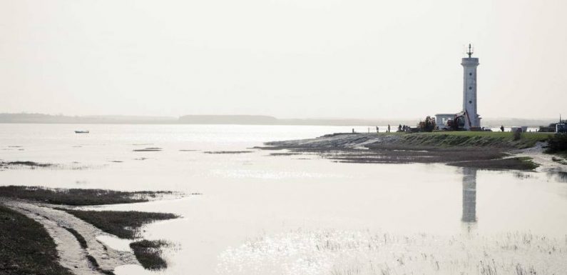 VIDEO. Picardie : La Baie de Somme devient un Parc Naturel Régional, après 41 ans de discussion