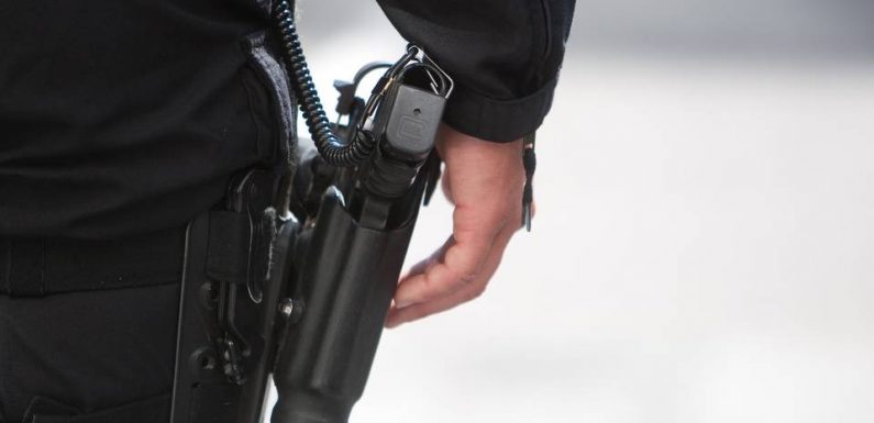 Metz : Déguisé en policier, il essaie d’extorquer un boutique de cannabis CBD