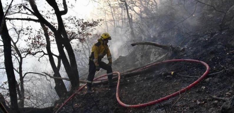 Tempête Ciara : Des feux de broussailles se multiplient dans les Alpes-Maritimes, placées en alerte orange «vents violents»