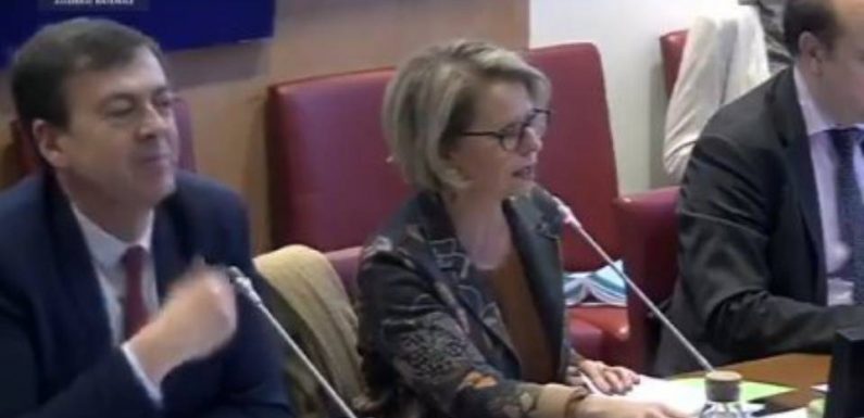 « Ça fait cinq jours que je me fais pourrir » sur les réseaux sociaux, explique la présidente de la commission sur les retraites Brigitte Bourguignon