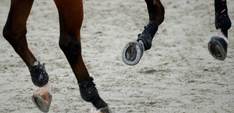 Nouvelle Aquitaine : Une ancienne compétitrice d’équitation accuse de viols trois encadrants