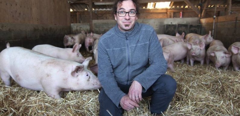 Agriculture: « La ferme allait mourir »… L’histoire d’un éducateur spécialisé devenu éleveur de porcs