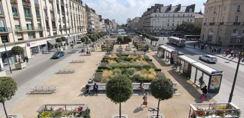 Municipales 2020 à Rennes : Quel candidat verdira le plus la ville ?
