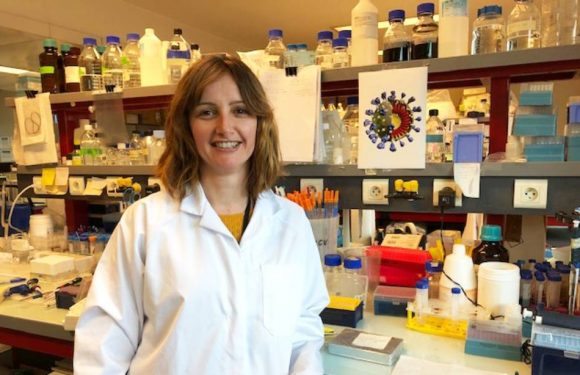 Coronavirus : « Il faudra quelques mois avant d’avoir un éventuel antiviral », selon Sandrine Bélouzard, de l’Institut Pasteur de Lille