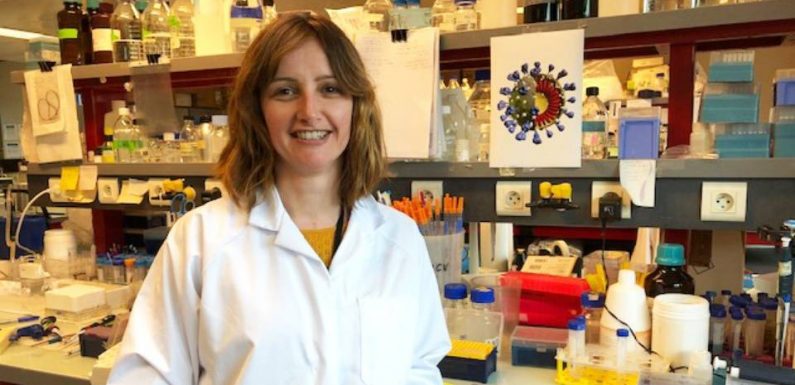Coronavirus : « Il faudra quelques mois avant d’avoir un éventuel antiviral », selon Sandrine Bélouzard, de l’Institut Pasteur de Lille