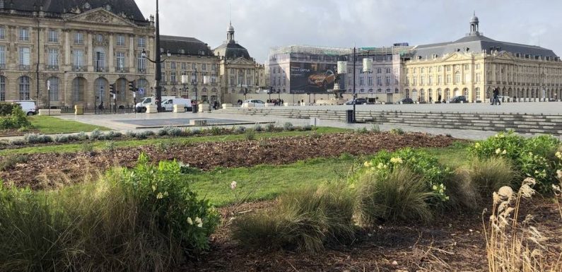 Municipales 2020 à Bordeaux : Tous se revendiquent écolos, comment tenter de les distinguer les uns des autres ?