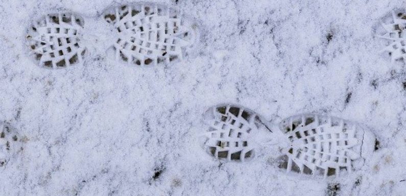 Pyrénées : L’incroyable sauvetage en montagne de trois jeunes qui ont (un peu) oublié que c’était l’hiver