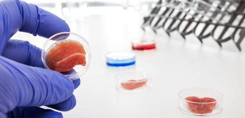 Salon de l’Agriculture : L’agriculture cellulaire, et ses viandes cultivées, en passe de quitter le laboratoire ?