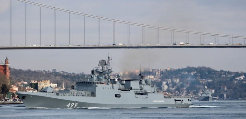 Turkey Retaliates Against Syrian Forces After 33 Of Its Soldiers Killed In Air Strikes