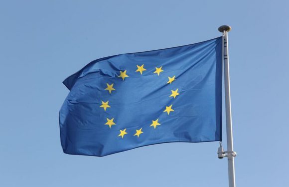 Trois Français sur quatre n’espèrent rien de l’Europe