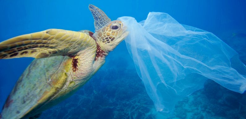 Ask Canada’s Top Plastic Polluters to break free from plastic