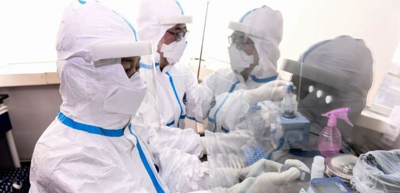 Coronavirus: un banal traitement à la chloroquine, utilisé contre le paludisme, montre des signes d’efficacité