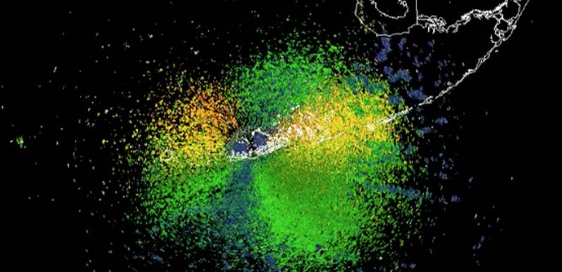 Massive bird migration over Key West captured by weather radar