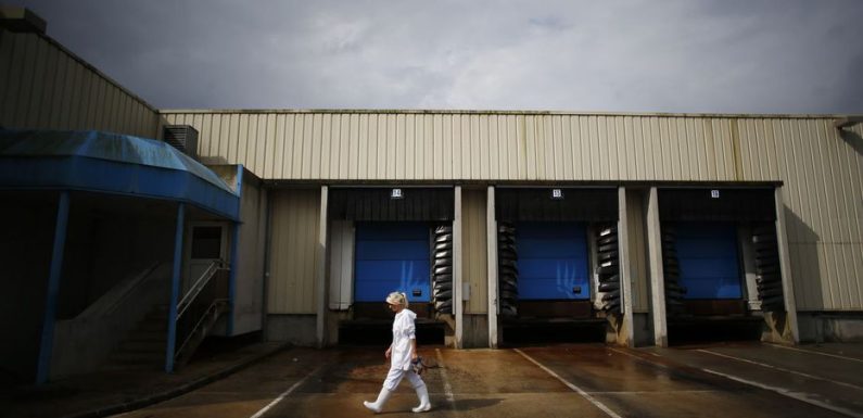 Abattoir Sobeval : quand L214 reçoit par erreur des mails embarrassants du ministère de l’Agriculture