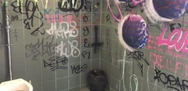 Manque d’hygiène, insécurité… Le scandale des toilettes scolaires en Ile-de-France