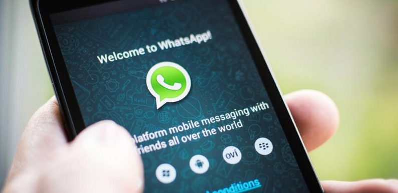 WhatsApp : un bug permet d’accéder à vos conversations secrètes