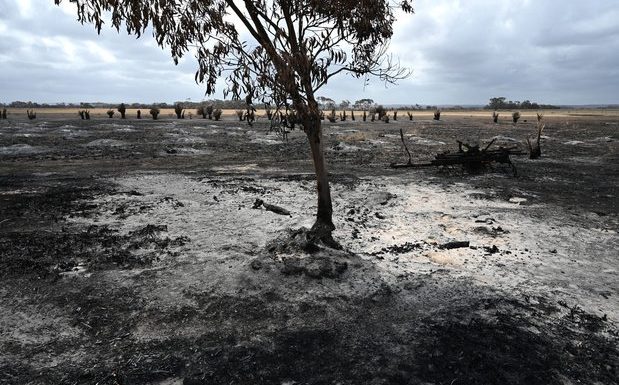 Les feux à peine éteint, l’Australie fait face à des inondations et à un cyclone tropical
