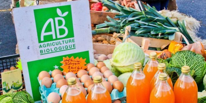 Togo: vers une stratégie de développement des filières agricoles biologiques