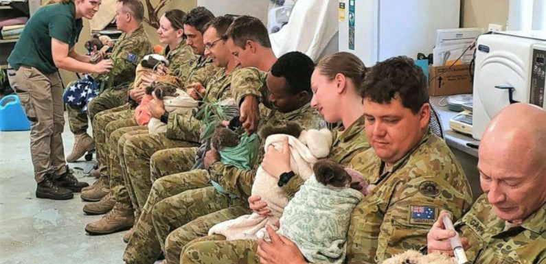 Australian army soldiers cuddle, feed koalas rescued from bushfires