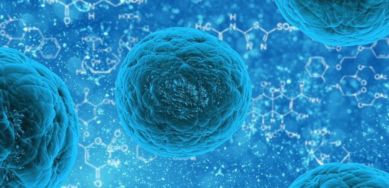 Une intelligence artificielle a conçu un antibiotique surpuissant : c’est une première