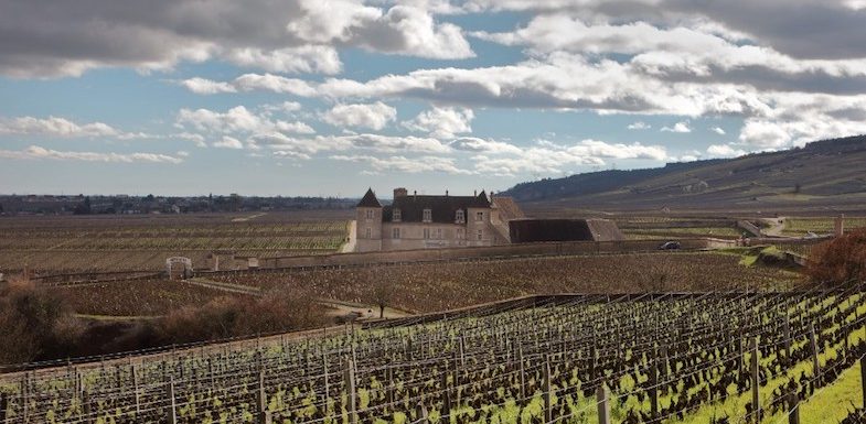 Le combat des vignobles bourguignons contre le projet de déplacement de l’appellation Bourgogne… en Beaujolais
