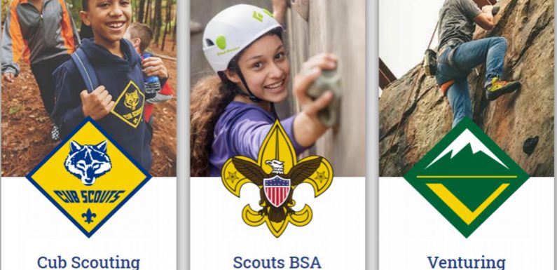 Les scouts américains annoncent déposer le bilan, plombés par des scandales d’abus sexuels