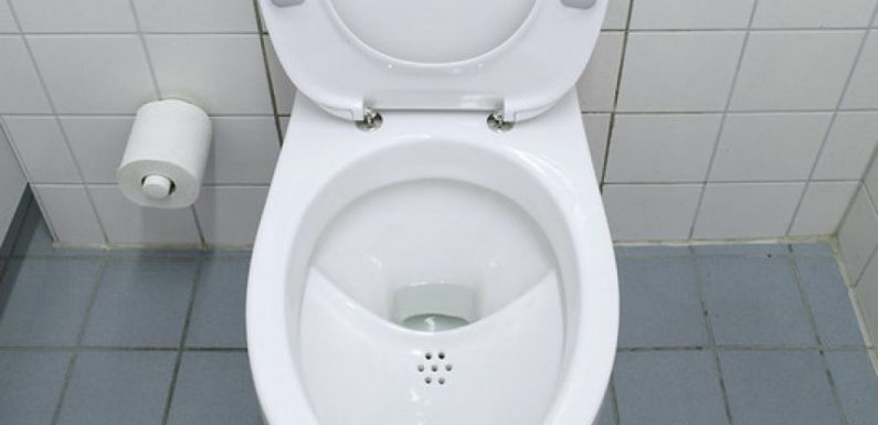 L’urine, un trésor à récupérer