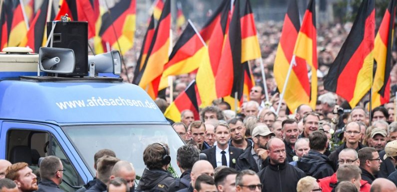 Studie: AfD-Wähler antidemokratisch und antisemitisch geprägt