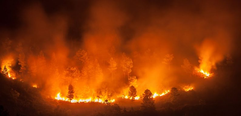 Ces cartes montrent les conséquences du réchauffement climatique dans les décennies à venir