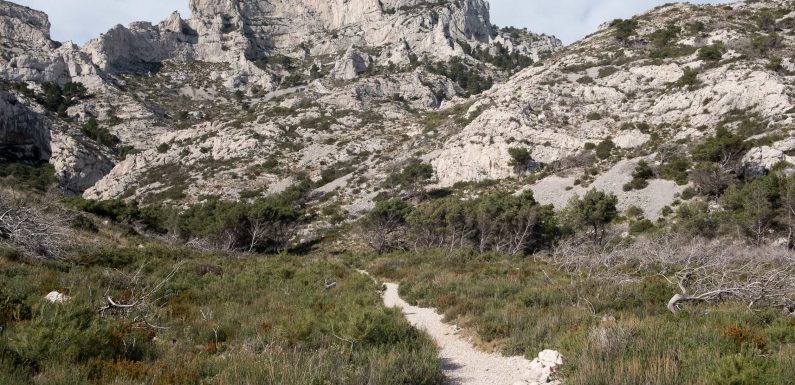 L’éco-acoustique, écouter la nature pour mieux la préserver