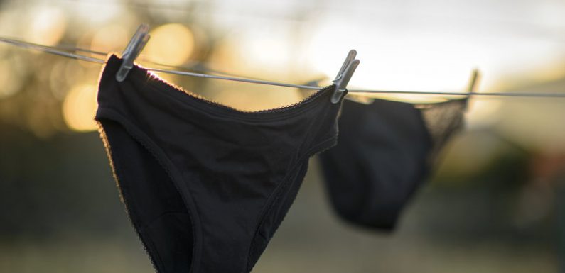 La petite révolution des culottes menstruelles