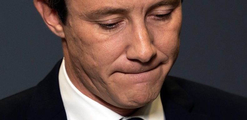 Affaire Griveaux : les réseaux sociaux ne sont ni les coupables, ni une menace pour la démocratie