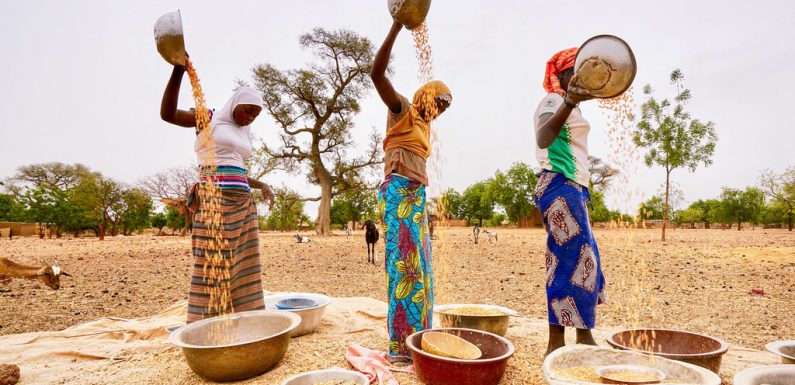 Sahel : des millions de personnes confrontées à la faim, l’ONU sonne l’alarme