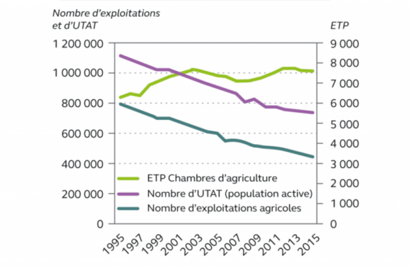 Comment redonner de la liberté aux agriculteurs ? (6)