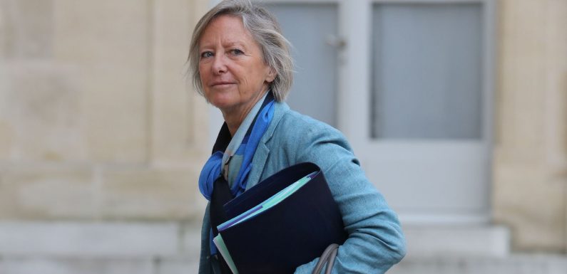 Handicap: Cluzel « favorable » à des « assistants de vie sexuelle »