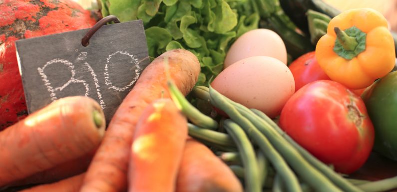 Les agriculteurs lancent un nouveau label bio afin d’assurer des produits de qualité au juste prix