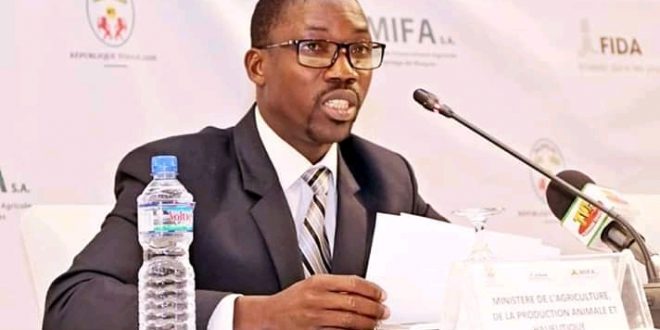 Togo : ProMIFA ou la solution aux problèmes de financement agricole