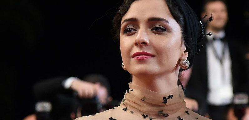 Affaire de l’avion ukrainien abattu : des artistes iraniens boycottent un grand festival de cinéma