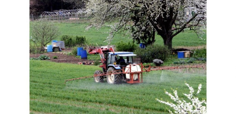 Environnement Réduction des pesticides : la France ne tient pas ses objectifs