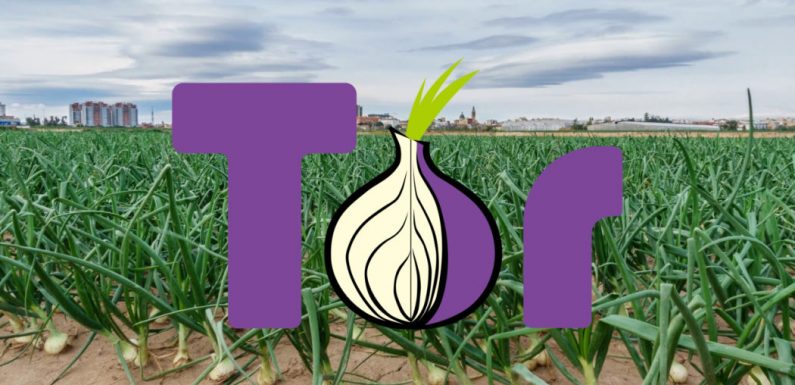TOR : tout savoir sur le navigateur web qui protège vos données