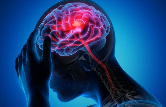 Cette vaste étude démontre de véritables liens entre alimentation et AVC