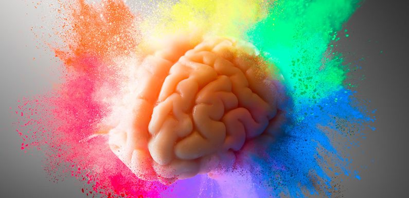 LSD, champignons hallucinogènes : enquête sur le potentiel médical des psychédéliques