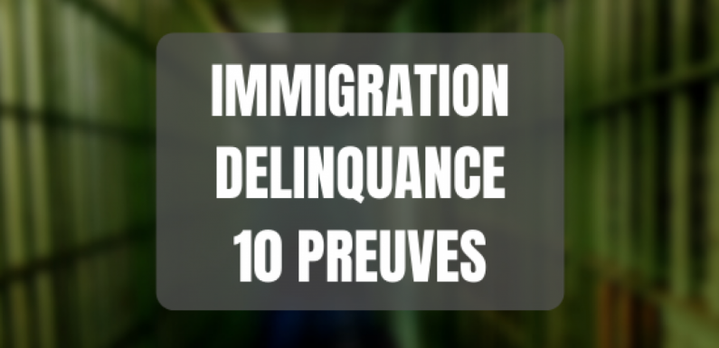 Lien entre immigration et délinquance : les 10 preuves scientifiques et sourcées