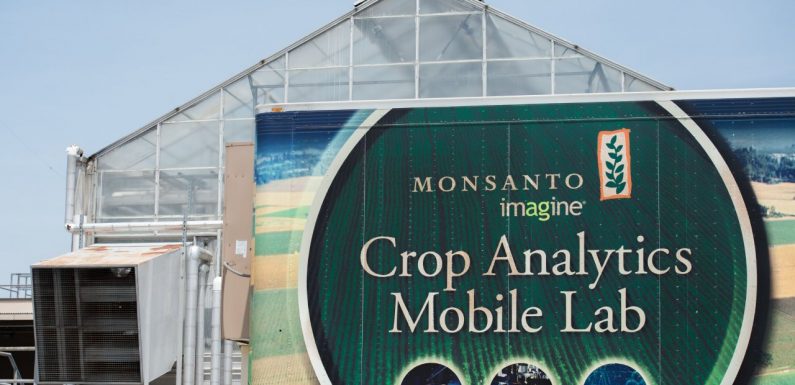 Le dicamba, l’autre épine dans le pied de Bayer après le Roundup