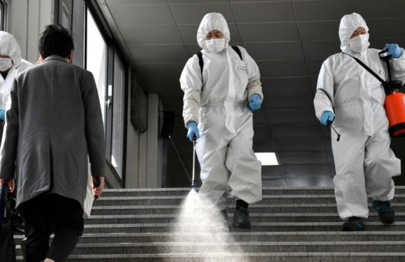 Les secrets du modèle coréen : des masques et des tests pour tout le monde, mais pas de confinement ni de vie privée