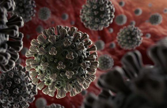EXCLUSIF – Coronavirus : lancement d’un essai clinique de grande ampleur de la chloroquine