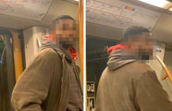 Bruxelles : Il a agressé sexuellement une dizaine de femmes dans le métro. Arrêté jeudi dernier, la juge l’a remis en liberté le lendemain