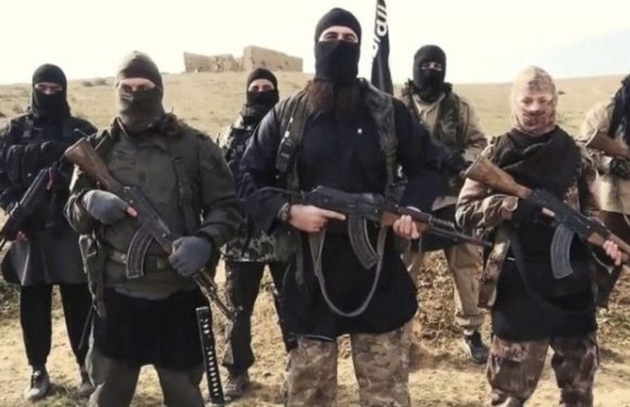 Coronavirus : L’État islamique déconseille à ses djihadistes de se rendre en Europe