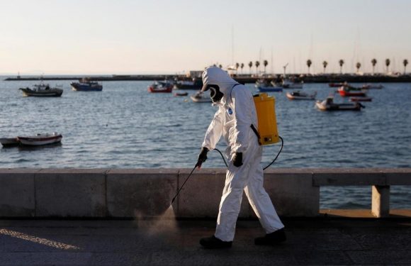 Le Portugal régularise ses immigrés pour les protéger du coronavirus