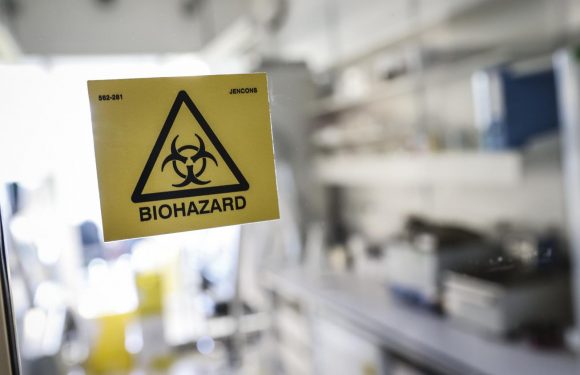 Coronavirus : « La majorité des projets qu’on avait sur le virus étaient en stand-by » faute de financement, explique un scientifique